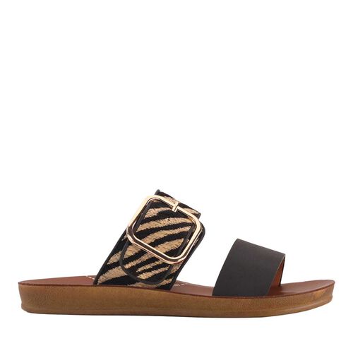 Los Cabos Doti Slide